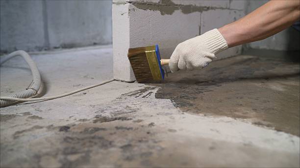 SJ Waterproofing Pros Waterproofing coverage map for Williamstown, KY and surrounding area